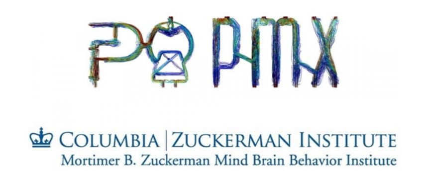 Joint development agreement between PMX and Columbia University to accelerate brain MRI